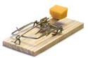 mousetrap